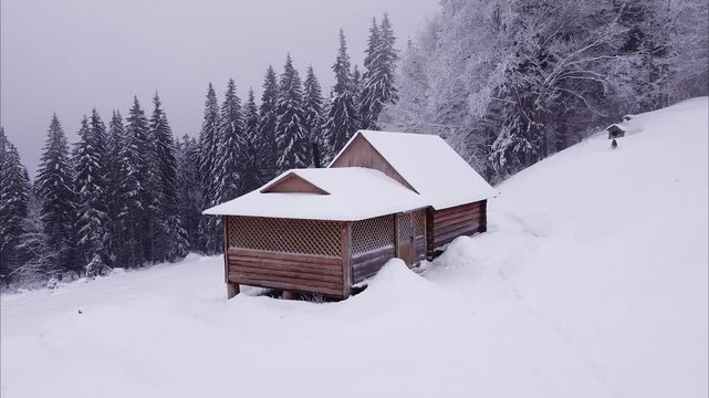 Aerial footage of small wooden log cabin at snow-white winter mountain meadow with guard dog and forest at background