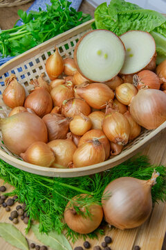 Allium cepa Golden Gourmet cebula dymka w kuchni