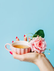 Woman's hand holding tea cup and rose flower against pastel blue background. Creative floral spring bloom concept. Morning drink or healthy breakfast idea. Still life natural visual trend.