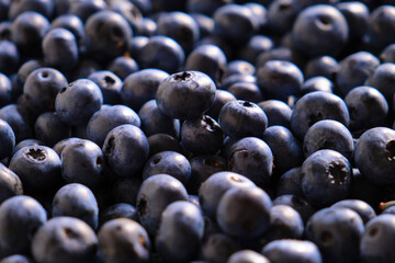 Obst Blaubeeren 02
