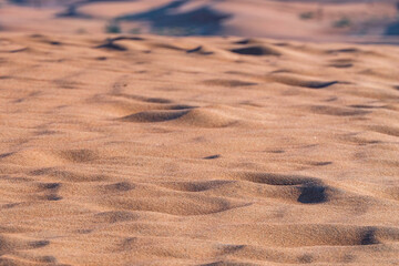 Sand dunes of the Arabian desert. Abu Dhabi, United Arab Emirates