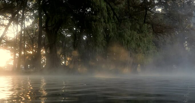 The first rays of the sun cross through the fog and the trees to the waters of Lake Camecuaro.
Los primeros rayos del sol cruzan por la niebla y los &aacute;rboles hasta las aguas del lago de Cam&eacute;cuaro.
