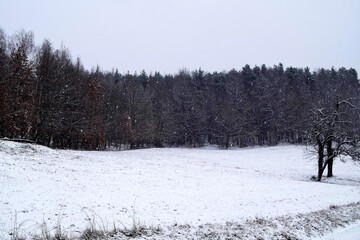 Schneewiese, Wald und Schneefall