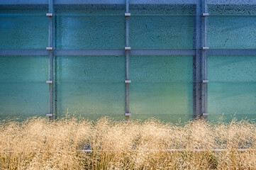 Szklana fasada obiektu z podziałami