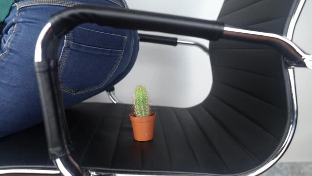 Concept. A woman holds a cactus as a symbol of rectal pain. Varicose veins of the lower intestine. Pain in the rectum, hemorrhoids and pain in the excretory system of the body. Proctology