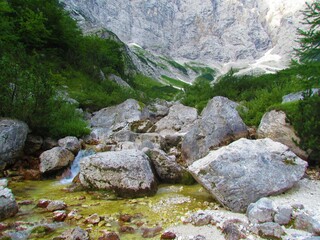 Fototapeta na wymiar Mountain stream in Vrata valley in Julian alps and Triglav national park in Gorenjska region of Slovenia surrounded by large rock and lush vegetation