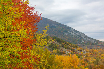 Fototapeta premium Panoramic view from the train in Abruzzo. The Trans-Siberian of Abruzzo. Trees in autumn 