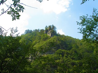 Rocky peak with pine trees on top rising out of the forest canopy in Iski vintgar in Slovenia