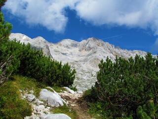 Scenic view of mountain Rjavina in Triglav national park and Julian alps in Slovenia and a path...