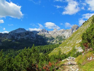 Scenic view of an alpine landscape and mountain peak in Triglav national park in the Julian alps in...