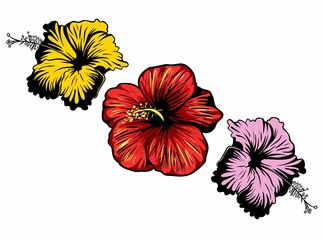Vector hibiscus flowers set, isolated on white background.