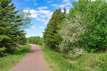Fototapeta na wymiar Springtime view of the Confederation Trail, Canada.