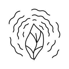 dry leaf phytotherapy line icon vector illustration