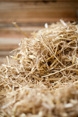 Building a House with Straw bales and red Clay -  mixing ingredients on the building site -  walls...