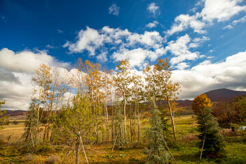 Panoramic view from the train in Abruzzo. The Trans-Siberian of Abruzzo. Trees in autumn 