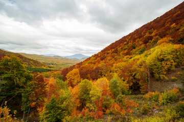 Panoramic view from the train in Abruzzo. The Trans-Siberian of Abruzzo. Trees in autumn 