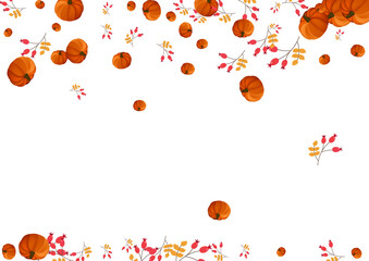 Gold Gourd Background White Vector. Leaf Botanical. Yellow Drawing Set. Pattern Illustration. Red Rowan Print Card.