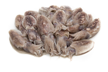 Raw baby squid on a white background. Sea food concept.