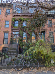Red brick apartment building wall of brownstone covered by green ivy and plants