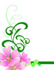 vector magenta pink cosmos flowers with flourishes isolated on white