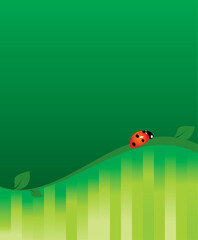 green vector blank with ladybug