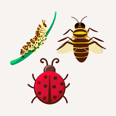 Spring gardening vector illustration insects - caterpillar, bee, ladybug. Elements for poster, scrapbooking, stickers set, greeting card, party invitations, tags.