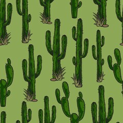 Spiny cactuses on green background