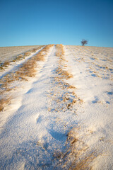 Fototapeta na wymiar winter path with snow upon a hill in Burgenland