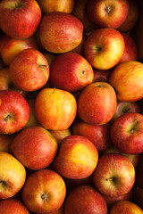 Background from ripe apples in red and yellow.