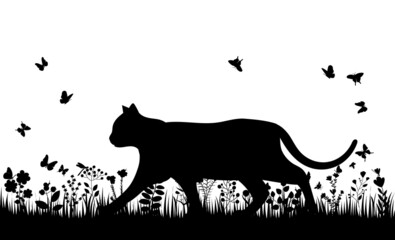 cat walking on the grass silhouette, isolated