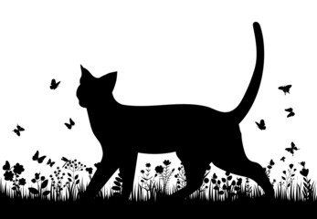 cat walking on the grass silhouette