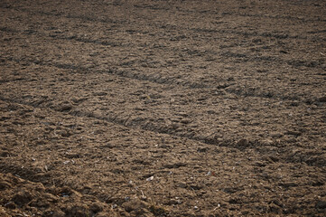 Strips of dug up fertile land are ready for planting vegetable plants. Agricultural work in spring.