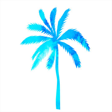 palm tree blue watercolor silhouette, isolated vector