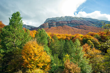 Vista panoramica dal treno in Abruzzo. La transiberiana d'Abruzzo.Alberi in autunno