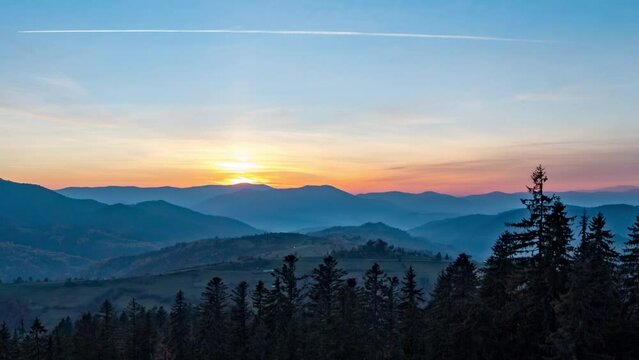Coniferous forest in highland by hills from day till dusk