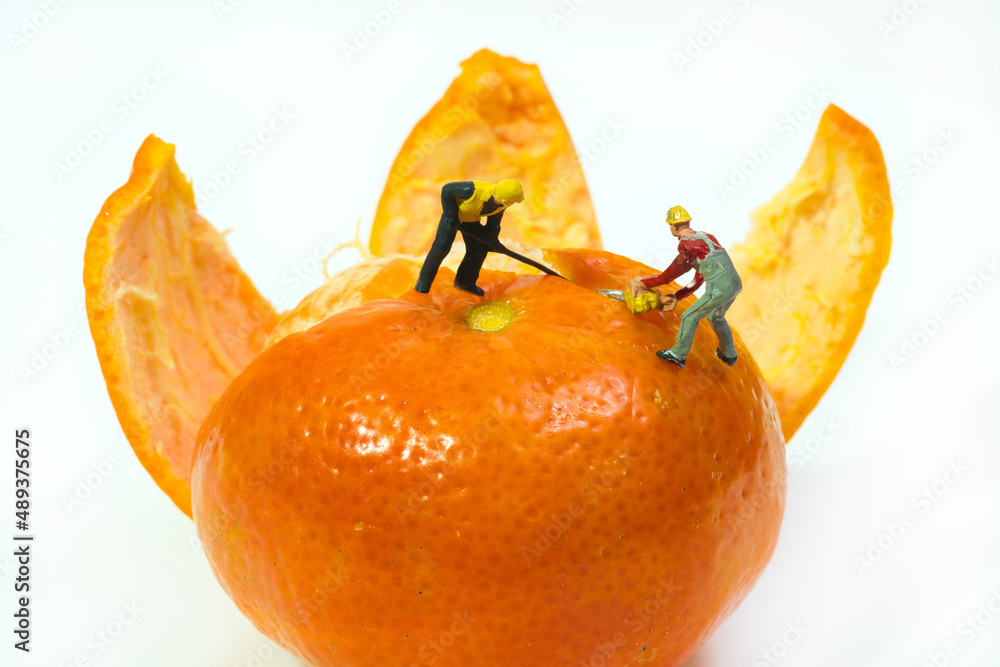 Poster a team of workers with a crowbar and a chainsaw stand on top of a tangerine to peel it