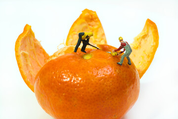 a team of workers with a crowbar and a chainsaw stand on top of a tangerine to peel it