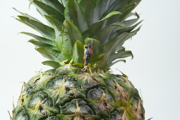 a hiker with a backpack on a pineapple - Powered by Adobe