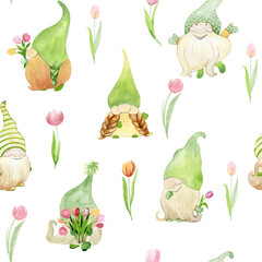 Watercolor spring gnomes