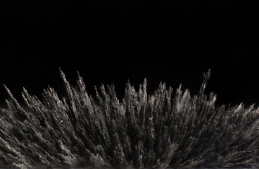 The reaction of iron dust to a magnetic field on a black background