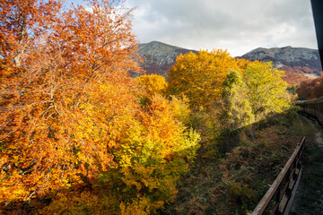 Fototapeta premium Viaggio in treno in Abruzzo, la transiberiana d'italia, Viaggio tra monti e boschi in autunno, un paesaggio bellissimo 