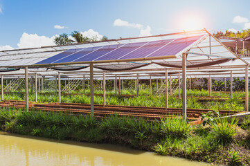 Solar panels in an agriculture green field.