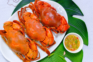 Serrated Mud Crab food with spicy seafood sauce in Thai Food.delicious Thai seafood