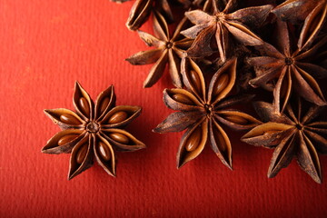Spice ingredient  Aniseed in red background