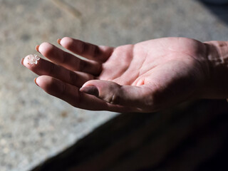 A delicate hand holding a delicate flower