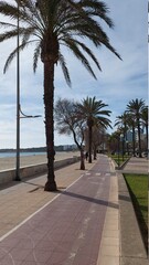 Fototapeta premium Cala Millor Mallorca