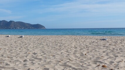 Obraz premium Cala Millor Mallorca