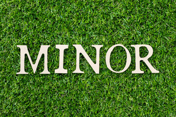 Wood alphabet letter in word minor on green grass background