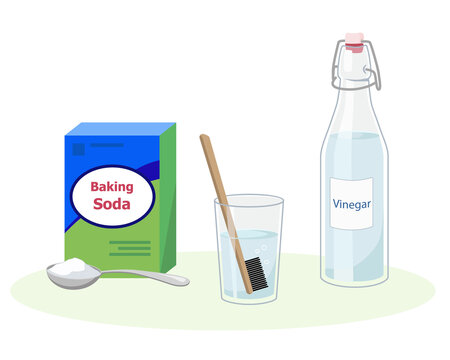 Cleaning and disinfection of the toothbrush.  Soaked toothbrush in the baking soda or vinegar solution. Vector illustration.