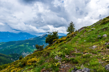 A picturesque landscape view of the French Alps mountains on a cloudy summer day (Valberg, Alpes-Maritimes, France)